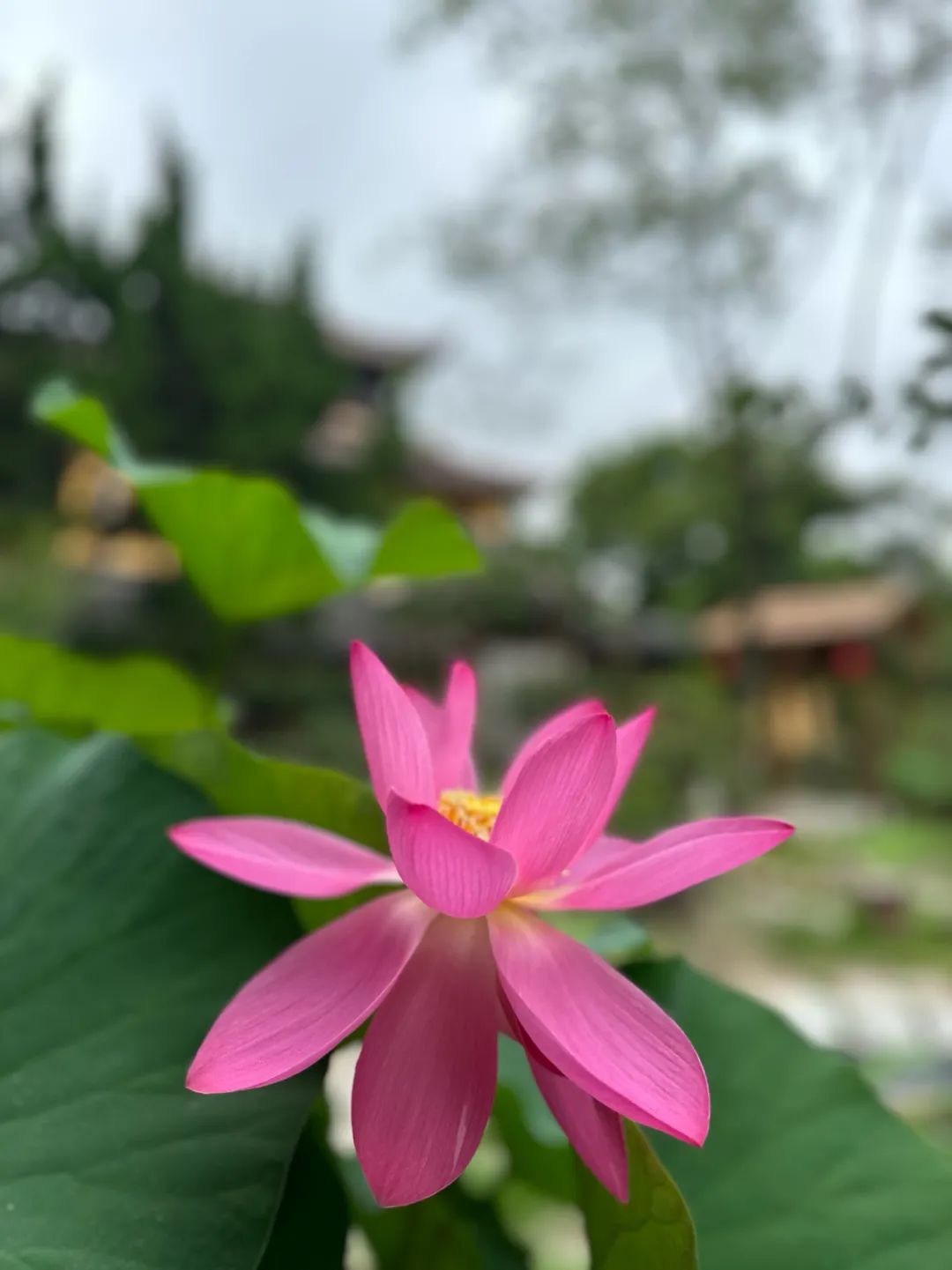人生难得认清自己