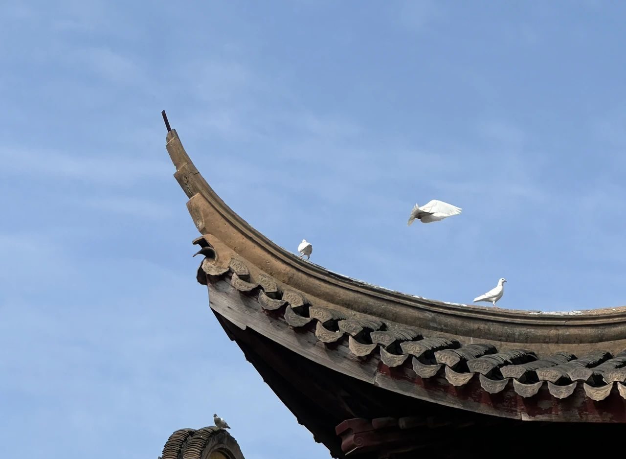 持戒能趋吉避凶
