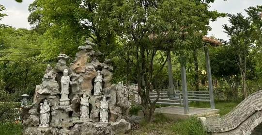 在生命的路口，为一只猫驻足祈福