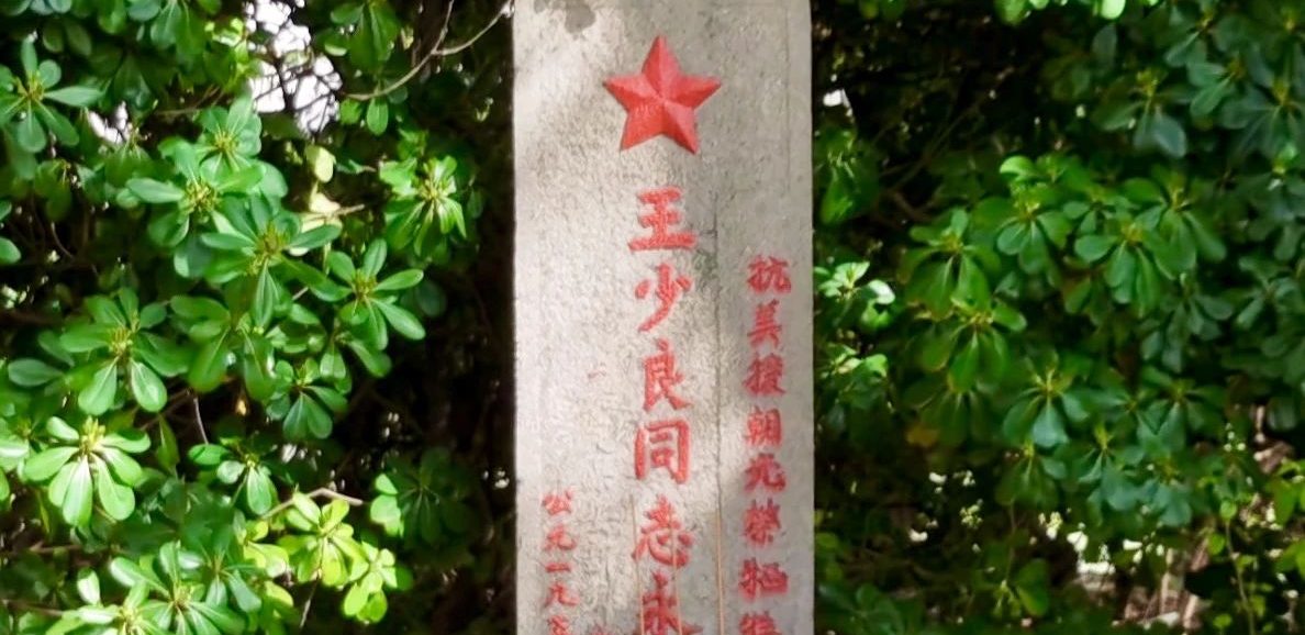 清明节 | 梨花风起正清明，祭奠缅怀思英烈