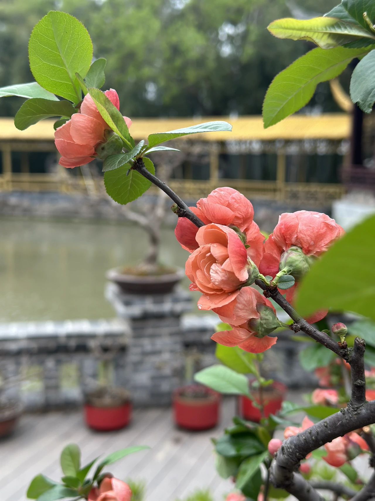 你真的理解“随缘”吗？