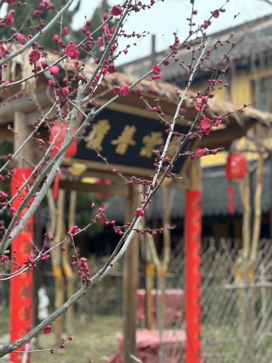 凡事不由你计划，别瞎操心