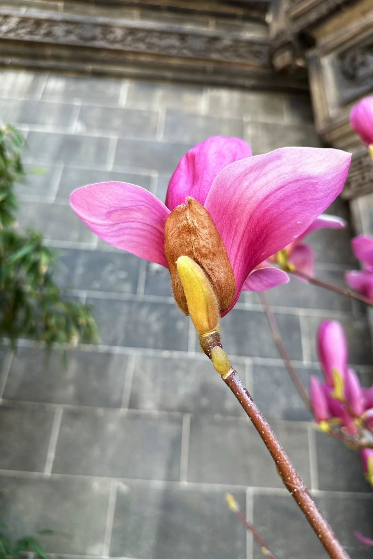 梦里常有一些预感是什么原因?
