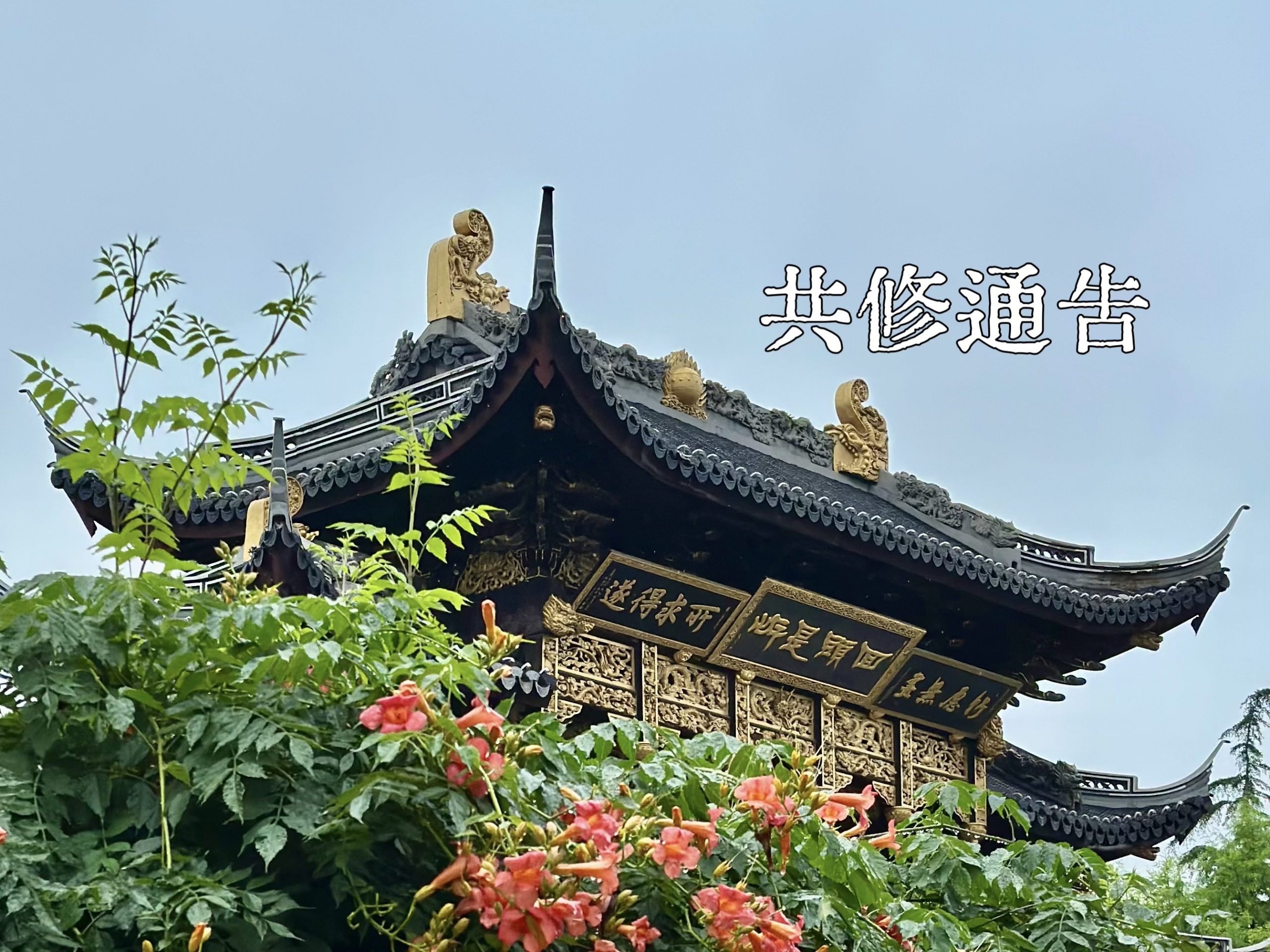 曹王禅寺《大佛顶首楞严经》七日共修通告