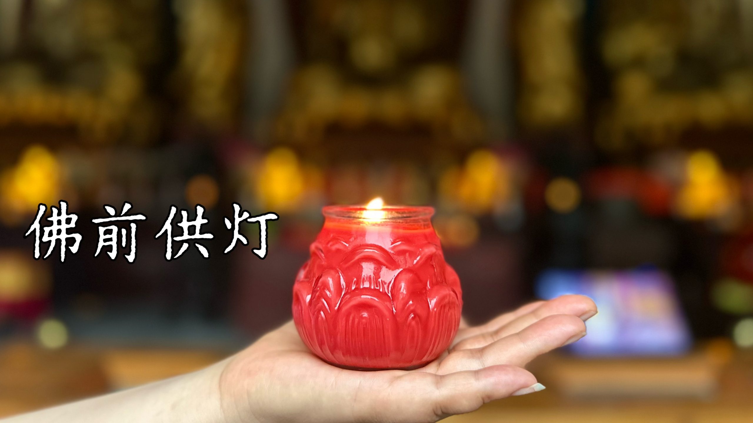 六月初一佛前供灯通启