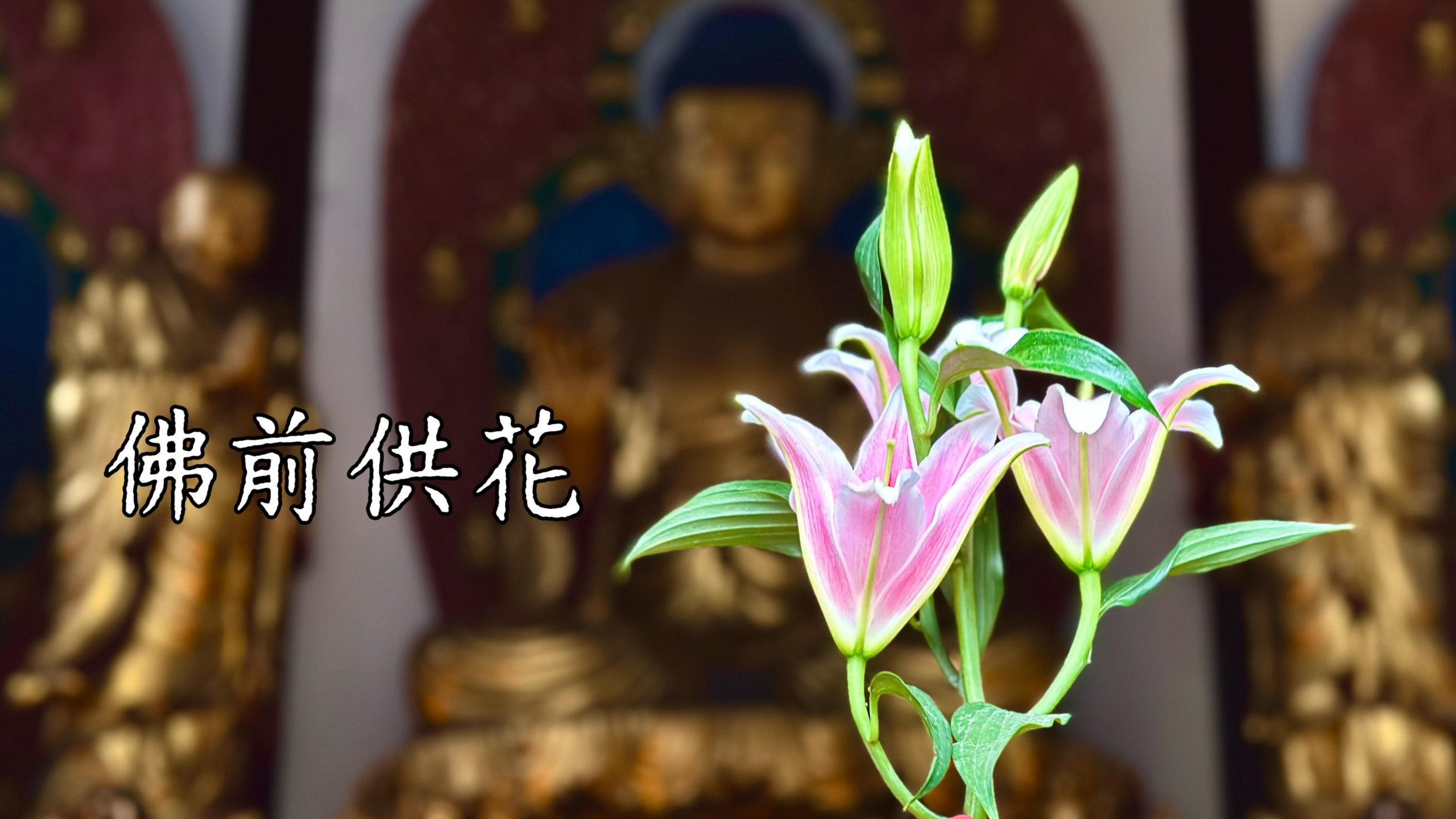 六月初一佛前供花通启