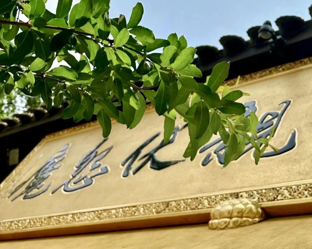 恭迎韦驮菩萨圣诞 | 摧邪辅正、除魔卫道