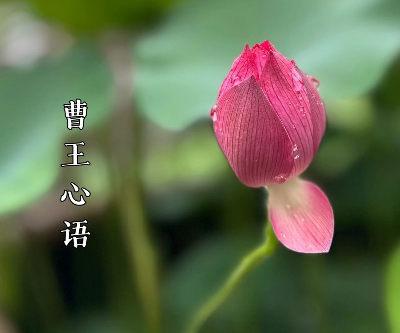 劝不听的人，就别劝