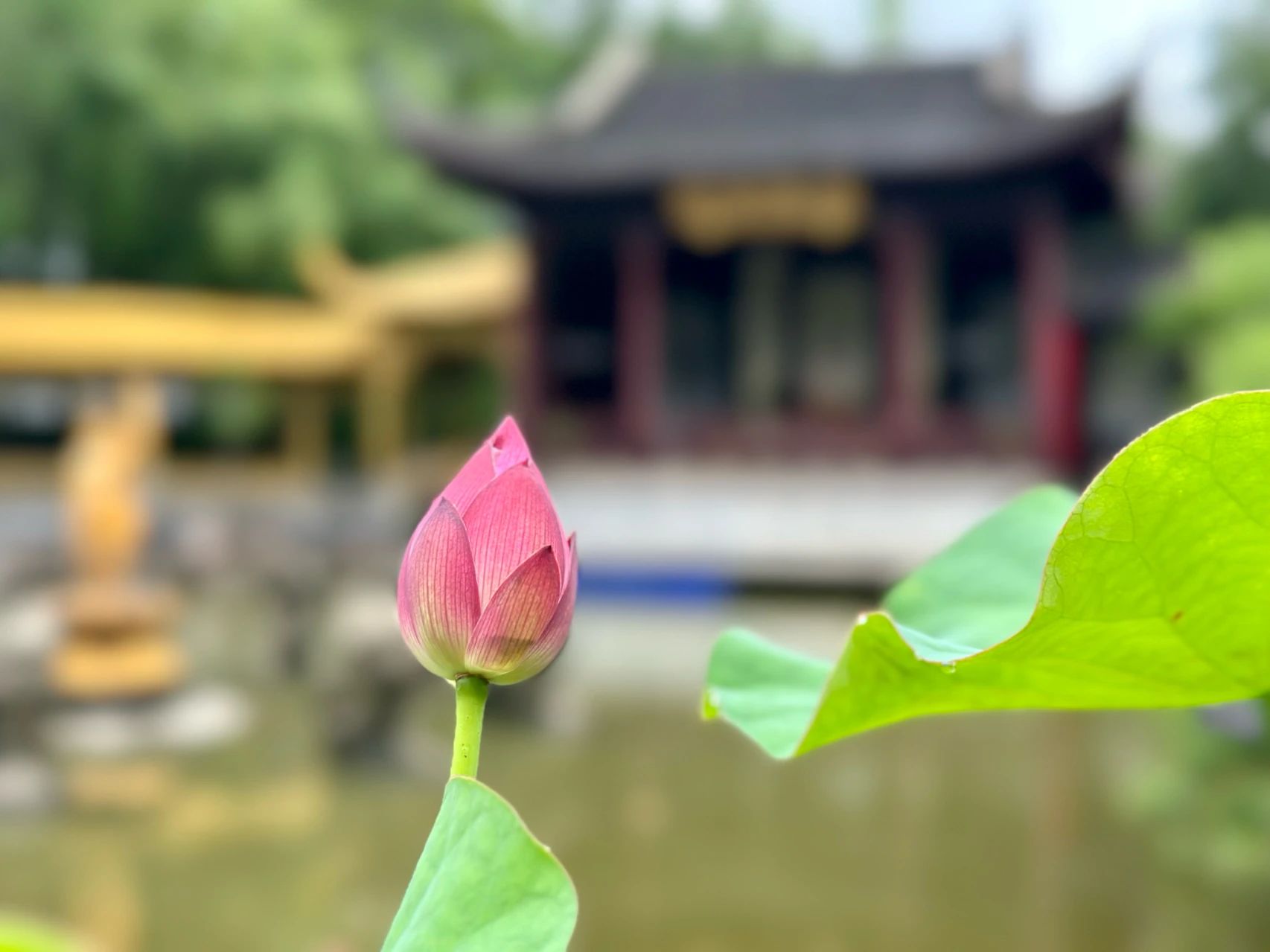 大师用心的口诀