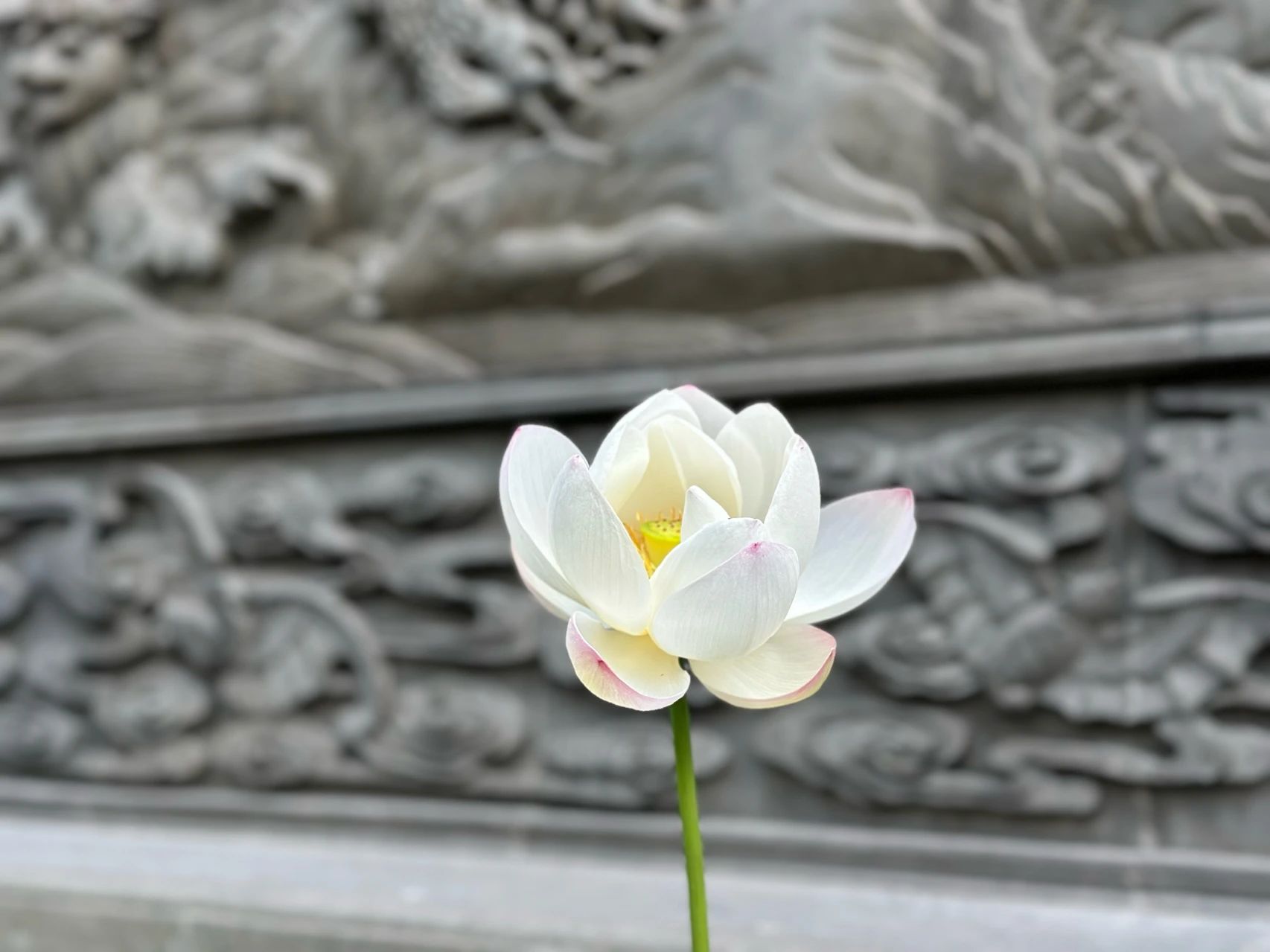 如果你业障消除了，会出现这五种征兆