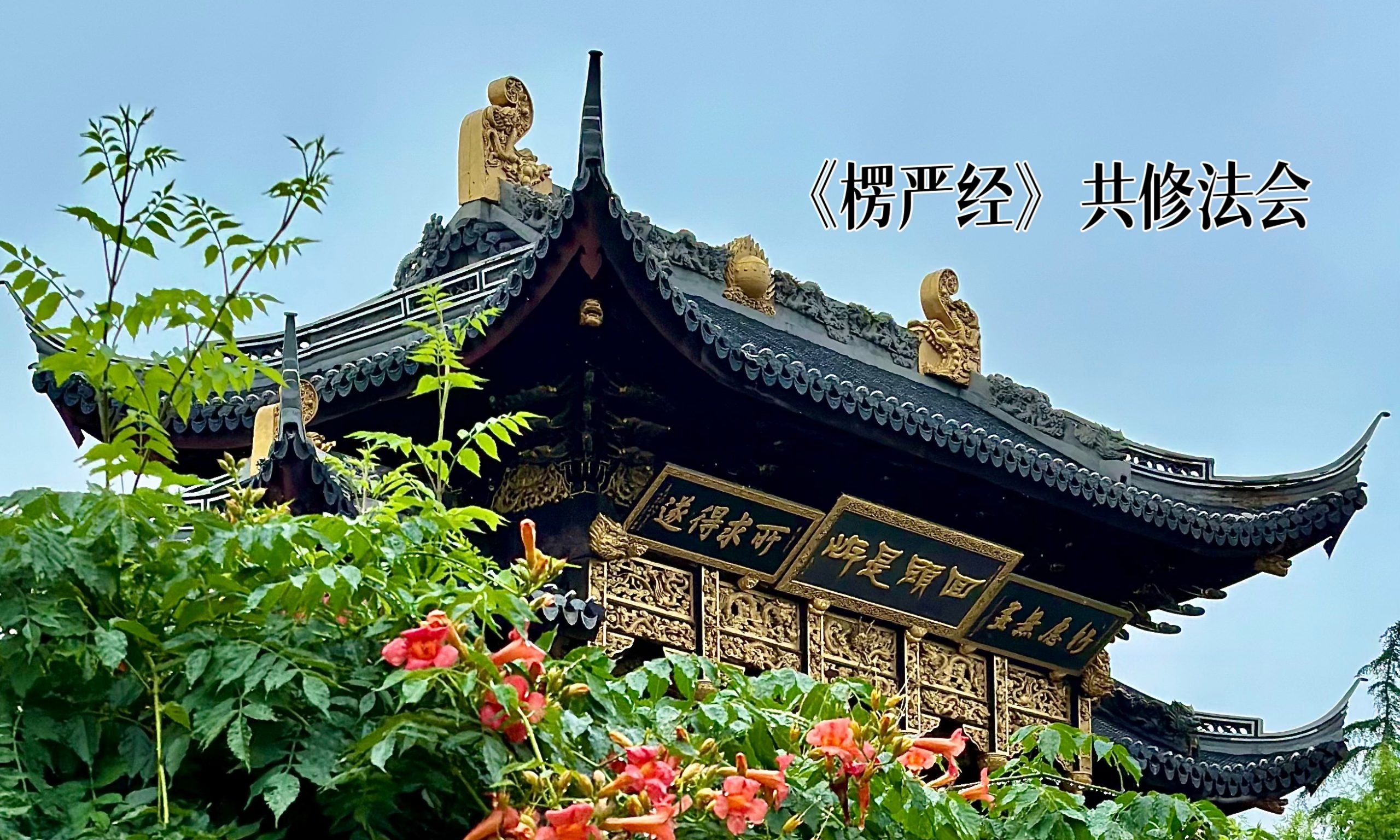 曹王禅寺《大佛顶首楞严经》七日共修首日