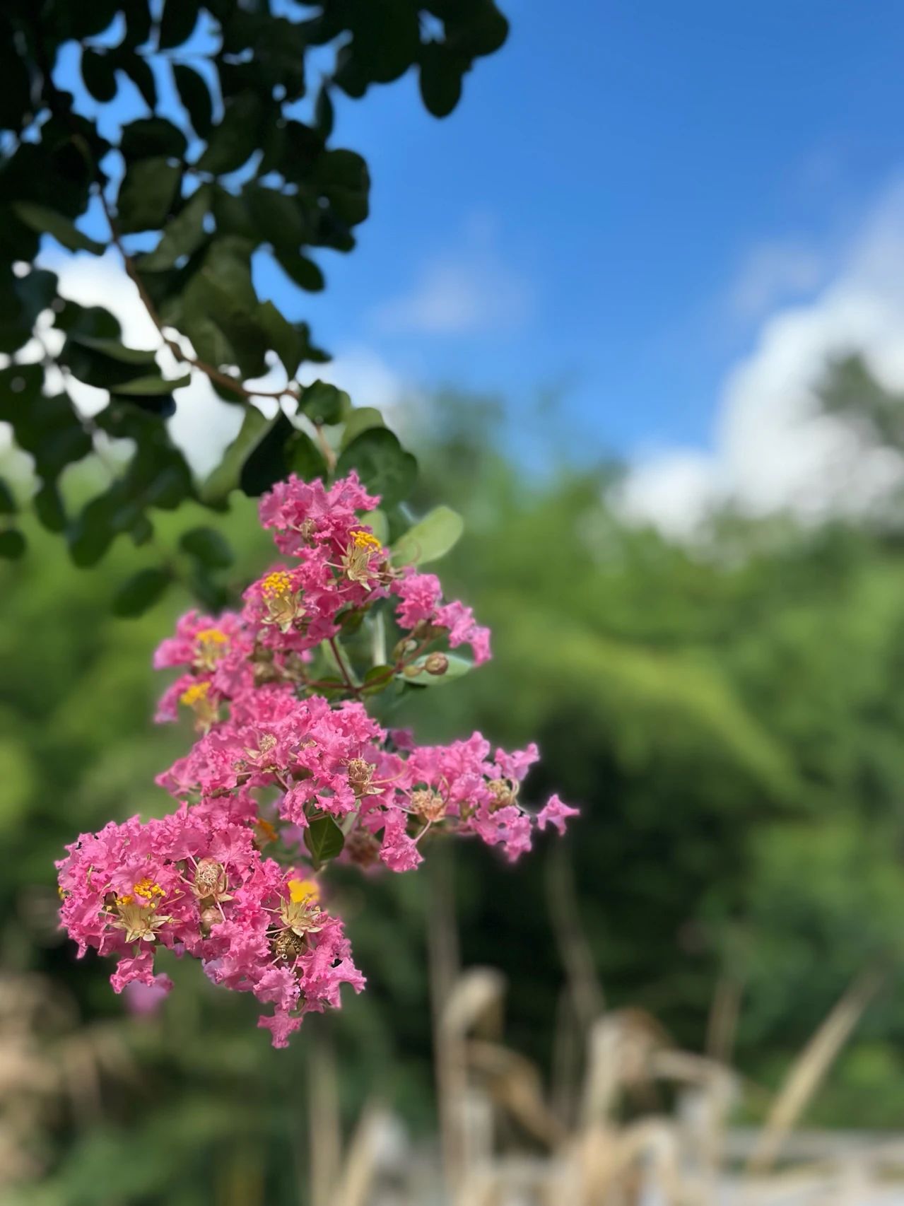 广结善缘最好的方法