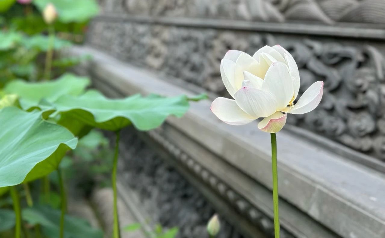 为什么念经的时候会发冷、发热？