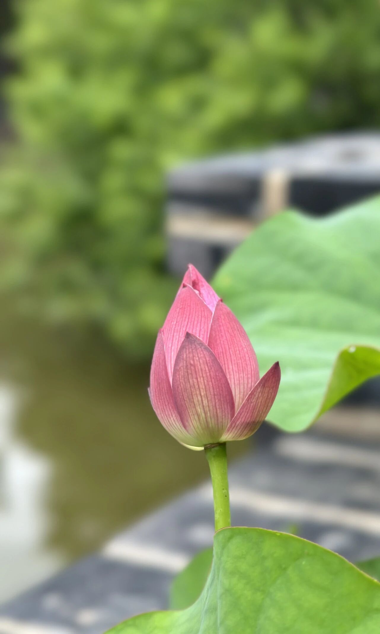 一具臭骨头，布施十方，供养大众