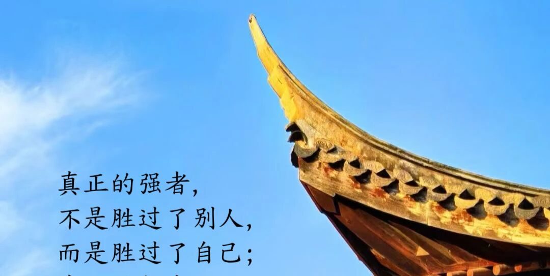 真正的强者