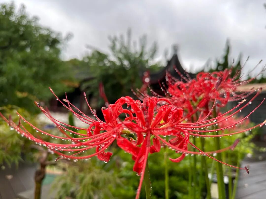 来曹王寺，感受不一样的国庆节