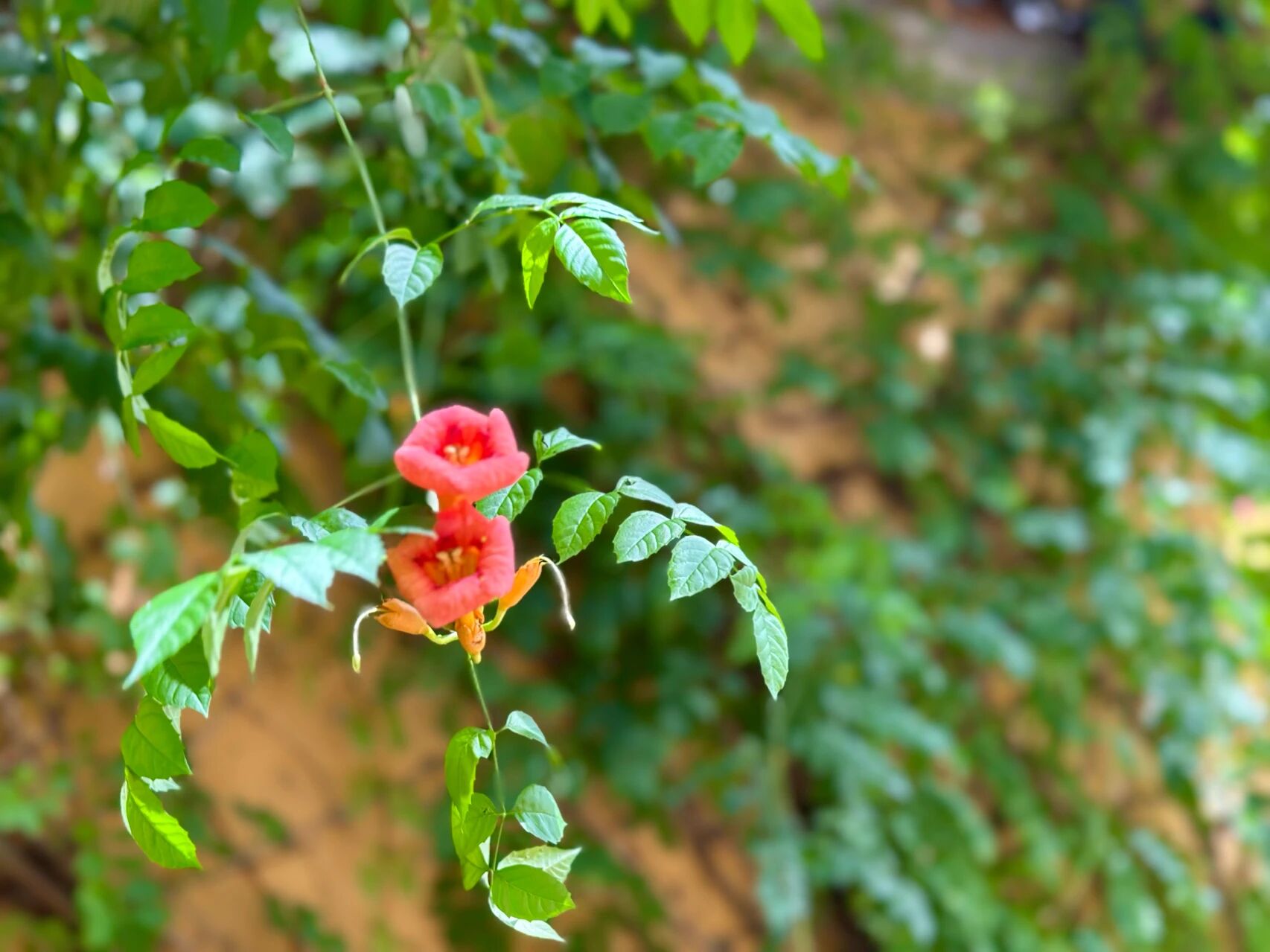 信仰，是明白的活着