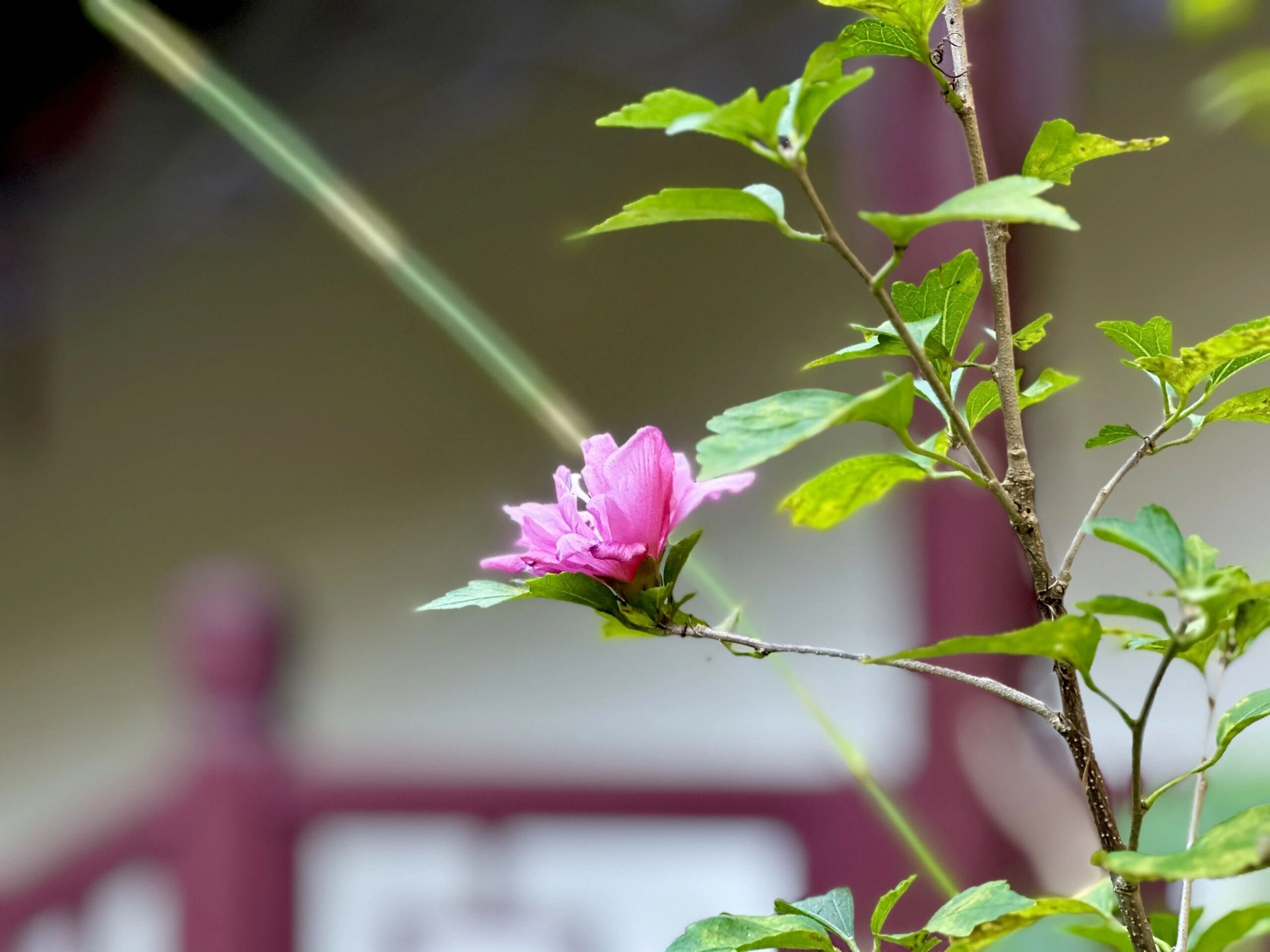 修行从忍辱开始，以下方法教你如何修行