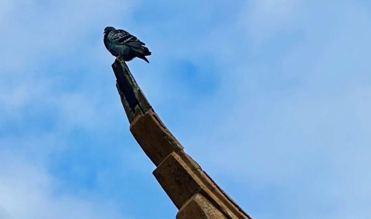 佛弟子的法名有什么功德和意义